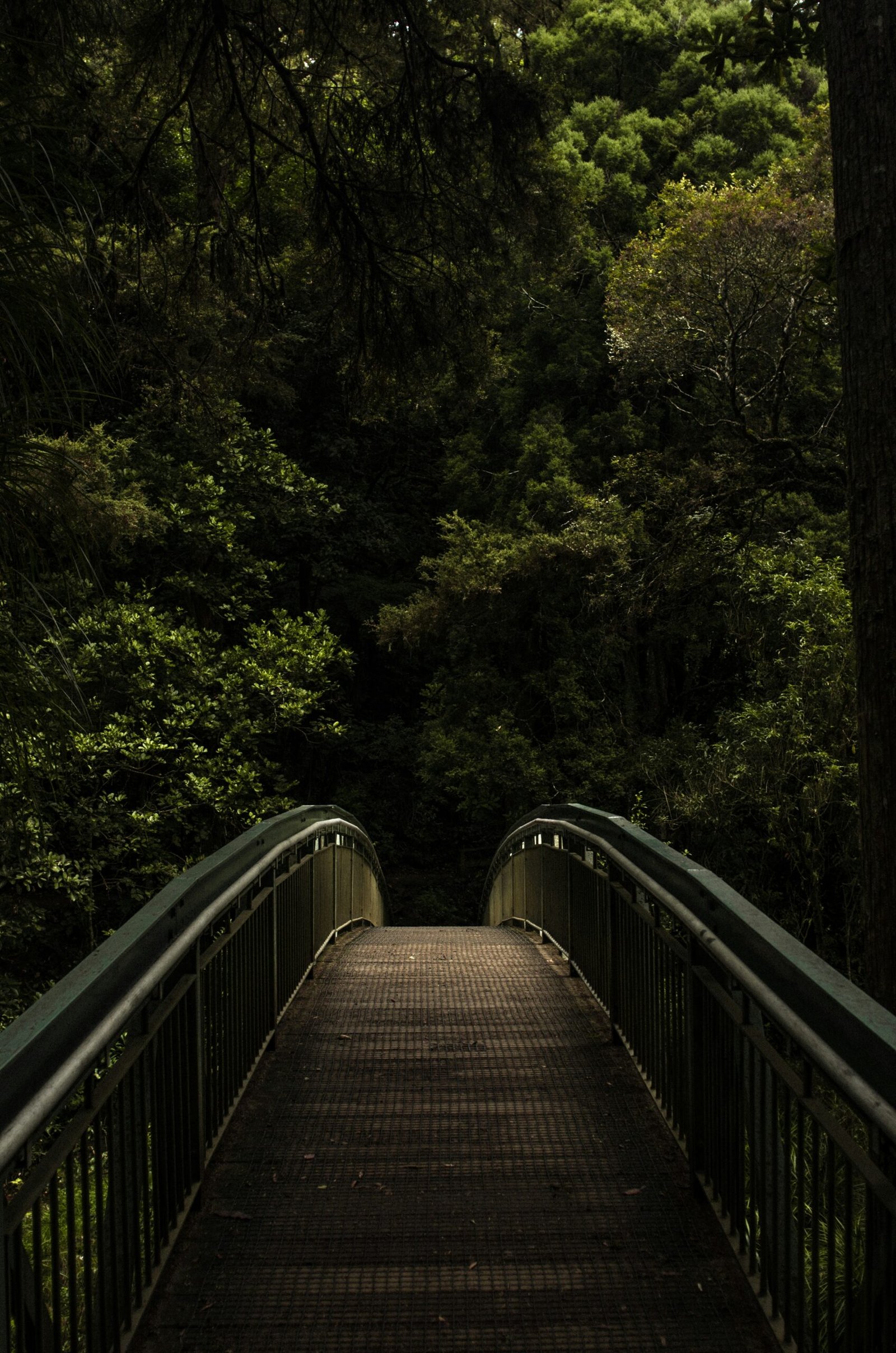 Photo by Asap PANG on Unsplash